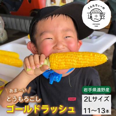 ふるさと納税 遠野市 とうもろこし ゴールドラッシュ 約5kg 2L 11〜13本 [こんたでぃーの遠野]