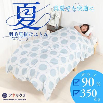 ふるさと納税 忠岡町 【洗える】羽毛肌掛け布団シングル日本製 軽量夏