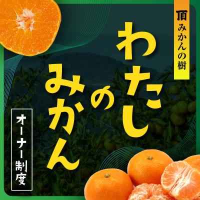 ふるさと納税 八幡浜市 頂みかんの樹50本オーナー権利[H31-38]
