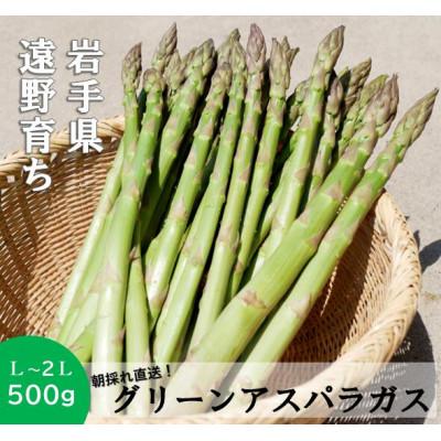 ふるさと納税 遠野市 アスパラガス 500g こんたでぃーの遠野