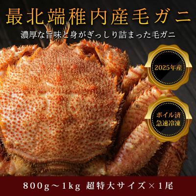 ふるさと納税 稚内市 2026年新物[ボイル済み急速冷凍]身がパンパンに詰まった毛ガニ800g〜1kg(超大サイズ)×1尾