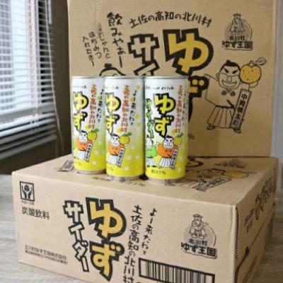 ふるさと納税 北川村 ゆずサイダー16本【北川村ゆず王国】 : Yahoo