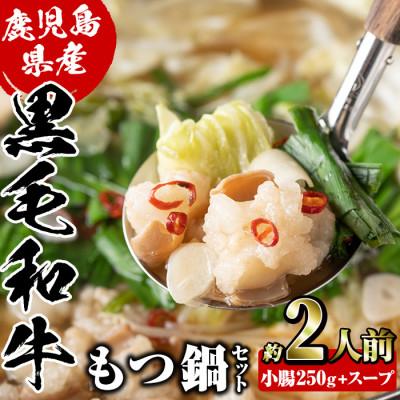 ふるさと納税 阿久根市 鹿児島県産黒毛和牛小腸使用!もつ鍋セット(約2人前分)[和食処まきや]a-15-11