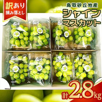ふるさと納税 北栄町 シャインマスカット　訳あり　家庭用　鳥取砂丘地産　2.8kg(350g×8パック) | 