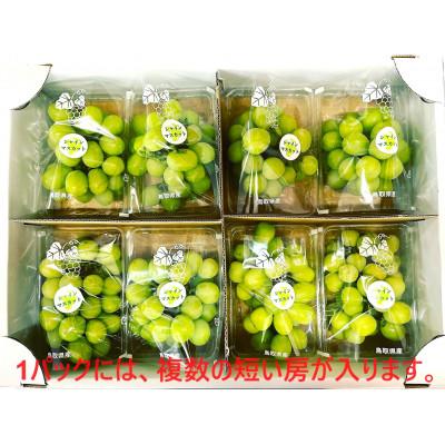 ふるさと納税 北栄町 シャインマスカット　訳あり　家庭用　鳥取砂丘地産　2.8kg(350g×8パック) |  | 01