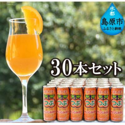 ふるさと納税 島原市 つぶオレンジみかんドリンクセット 30本(各250g)(島原市)