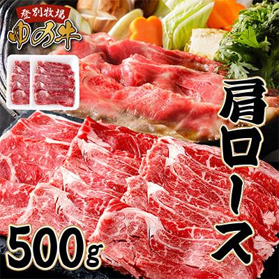 ふるさと納税 登別市 登別産国産牛ブランド[登別牧場ゆの牛(うし)]肩ロース 500g(250g×2P)