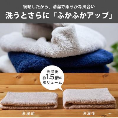 ふるさと納税 泉大津市 吸水力と肌触りが自慢のデイリーユースフェイスタオル  ライトグレー 10枚 |  | 02