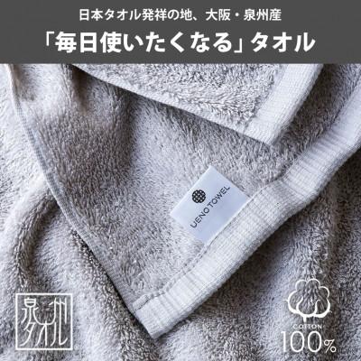ふるさと納税 泉大津市 吸水力と肌触りが自慢のデイリーユースフェイスタオル  ライトグレー 10枚 |  | 03