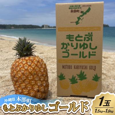 ふるさと納税 本部町 [2026年7月上旬より順次発送]もとぶかりゆしゴールド1玉(1.5kg〜1.9kg)