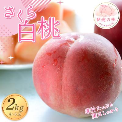 ふるさと納税 伊達市 先行予約 福島の桃 さくら白桃 2kg(4〜6玉) [あかい果樹園] F20C-911
