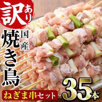 ふるさと納税 門川町 [訳あり・業務用]国産鶏ももねぎま串セット(35本)