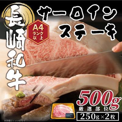 ふるさと納税 松浦市 【A4〜A5】長崎和牛サーロインステーキセット　500g(250g×2枚)(松浦市) | 
