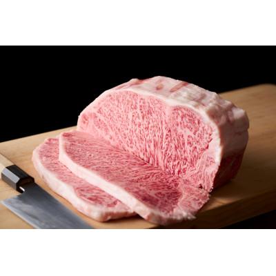 ふるさと納税 松浦市 【A4〜A5】長崎和牛サーロインステーキセット　500g(250g×2枚)(松浦市) |  | 03