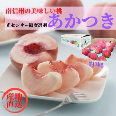 ふるさと納税 飯田市 2026年先行予約![7月下旬より順次発送]南信州産「桃」あかつき 約3kg[10~12玉]