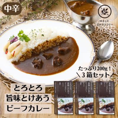 ふるさと納税 泉南市 ゆるっとグルテンフリー レトルトカレー とろとろ旨味とけあう ビーフカレー 3食セット