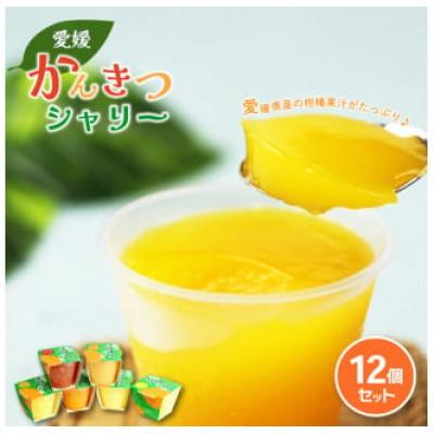 ふるさと納税 松山市 愛媛かんきつシャリー (100ml)×12個