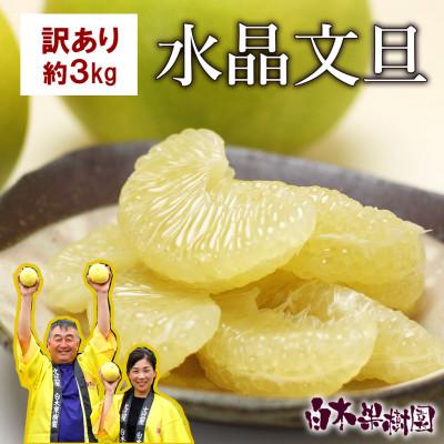 ふるさと納税 土佐市 [秋の味覚] 水晶文旦 訳ありご家庭用 約3kg(6〜7個入り)