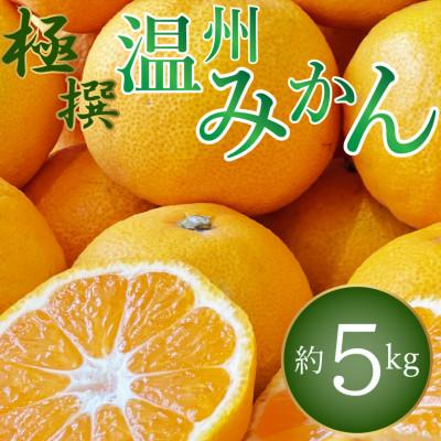 ふるさと納税 高松市 [2026年11月上旬より順次発送]極撰!温州みかん 約5kg