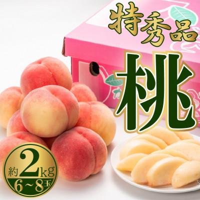 ふるさと納税 高松市 [2026年6月中旬より順次発送]特秀品!桃 約2kg(6〜8玉)