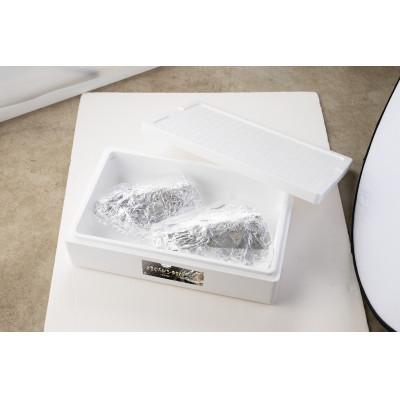 ふるさと納税 日南市 まぐろビンタBOX宮崎獲れ