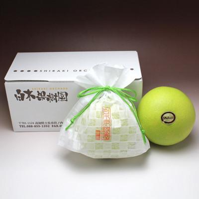 ふるさと納税 土佐市 【秋の味覚】 水晶文旦約1.5kg 特選品贈答用(2個入り) |  | 02