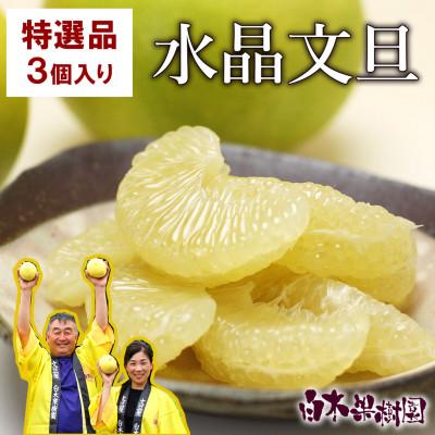 ふるさと納税 土佐市 [秋の味覚] 水晶文旦約1.5kg 特選品贈答用(2Lサイズ3個入り)