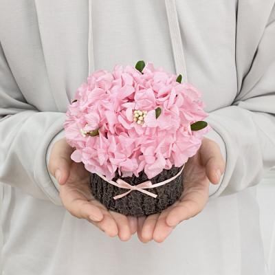 ふるさと納税 春日部市 プリザーブドフラワーアレンジ[さくらの木]春日部市 シュガーパイン