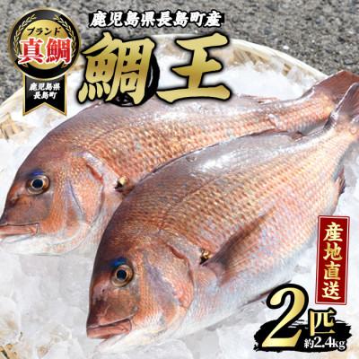ふるさと納税 長島町 長島町特産「鯛王」(2匹・約2.4kg) 長島町 特産品 ブランド 真鯛[JFA]jfa-7144