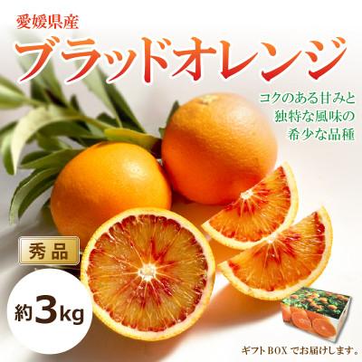 ふるさと納税 松山市 [2026年3月中旬頃から発送予定]ブラッドオレンジ<秀品> 約3kg ギフトBOX入り