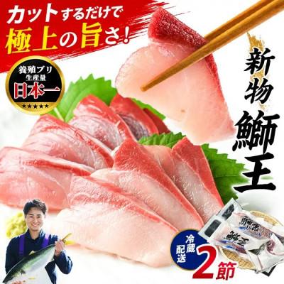 ふるさと納税 長島町 [新物]鰤王スキンレスロイン2節_jfa-7128R8