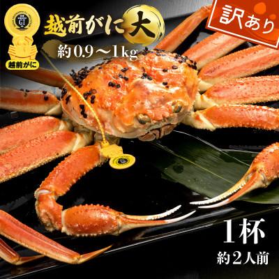 ふるさと納税 越前町 [訳あり]越前がに 浜茹で 大サイズ(生で約0.9〜1kg) × 1杯 約2人前[2月より順次発送]