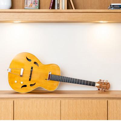 ふるさと納税 美濃加茂市 [エレクトリック・アコースティックギター]K.Yairi VINCENT VM-5 Swing