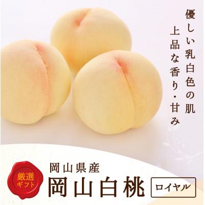 ふるさと納税 井原市 [2026年発送]岡山県産 白桃 5玉 (1.5kg以上) 等級:ロイヤル 木箱入り