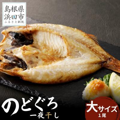 ふるさと納税 浜田市 のどぐろ一夜干し個包装1枚「大サイズ・200g〜250g」[10月〜配送]