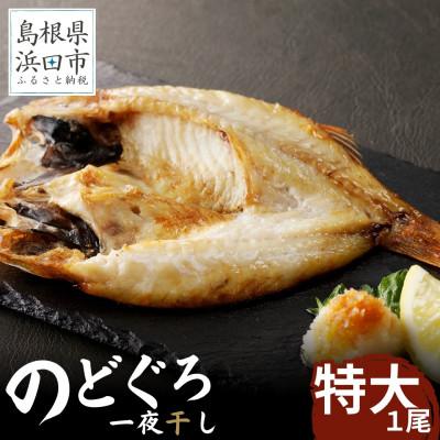 ふるさと納税 浜田市 のどぐろ一夜干し個包装1枚「希少サイズ・大型300g〜400g」[10月〜配送]