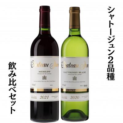 ふるさと納税 甲州市 シャトージュン 2品種飲み比べセット