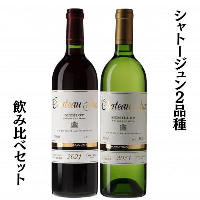 ふるさと納税 甲州市 シャトージュン 2品種飲み比べセット