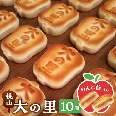 ふるさと納税 藤崎町 大の里(オオノサト)10個入り