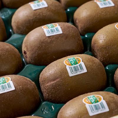 ふるさと納税 大刀洗町 【先行受付】福岡限定!ブランドキウイ「甘うぃ(あまうぃ)」約3kg箱(24-30玉)(大刀洗町)_1