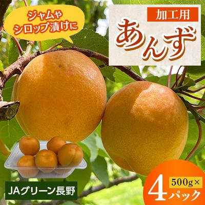 ふるさと納税 長野市 [先行受付]JAグリーン長野 あんず 500g×4パック