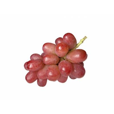 ふるさと納税 長野市 [2026年先行予約]クイーンルージュ(R)大房 1房 450g以上入り