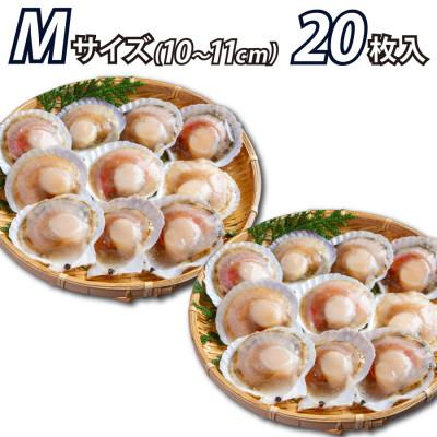 ふるさと納税 森町 北海道産 ほたて片貝 大サイズ(20枚入)