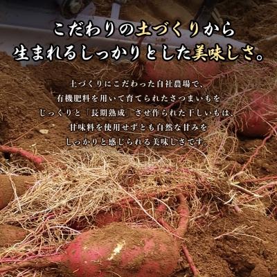 ふるさと納税 潮来市 【芋屋久兵衛】茨城県産 紅はるか 切甲(切り落とし) 500g×1袋 訳あり |  | 02