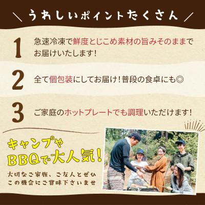 ふるさと納税 京丹後市 大満足!京丹後・海鮮BBQ　Cセット　贅沢生ズワイガニ付き　4種11品(3〜4人前) |  | 02