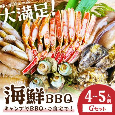 ふるさと納税 京丹後市 大好評!京丹後・海鮮BBQ Gセット 大盛り生ズワイガニ 6種23品(4〜5人前)