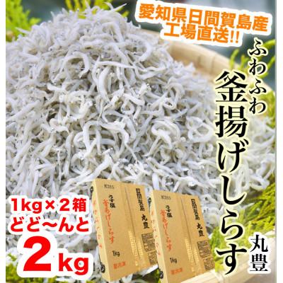 ふるさと納税 南知多町 愛知県日間賀島産・2kg釜揚げしらす・島の工場から直送