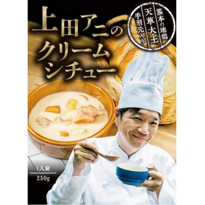 ふるさと納税 上天草市 天草大王手羽元入り 上田アニのクリームシチュー5箱セット