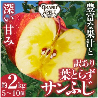 ふるさと納税 藤崎町 産地直送 葉とらずサンふじ 訳あり 約2kg