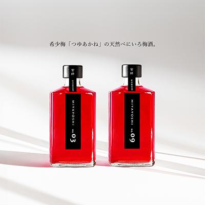 ふるさと納税 有田市 MIYAYOSHI No.03 No.09 large bottle 2P SET
